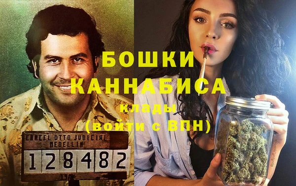 сатива Алексин