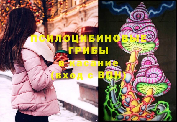 сатива Рославль