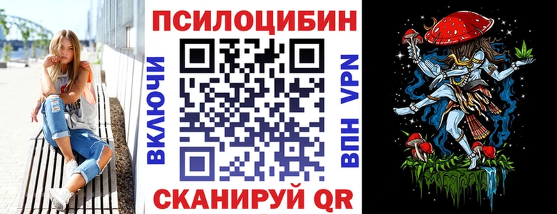 как найти закладки  Багратионовск  Псилоцибиновые грибы GOLDEN TEACHER 